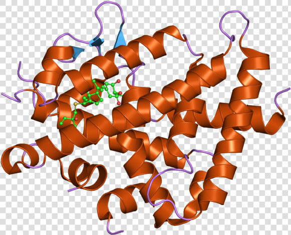 Pdb 2zla Ebi   Recettore Della Vitamina D  HD Png DownloadTransparent PNG