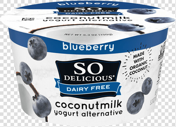 Blueberry Coconutmilk Yogurt Class Pro xlgimg   So Delicious Yogurt  HD Png DownloadTransparent PNG