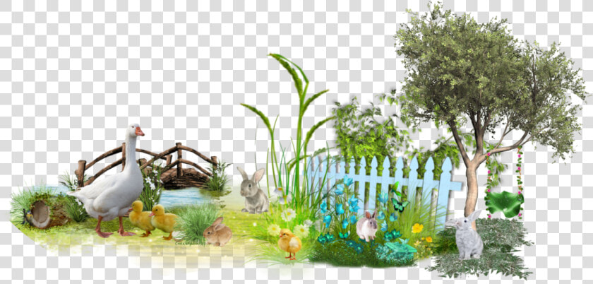  easter  grass  scenery  ducks  tree  bridge  animals   Grass  HD Png DownloadTransparent PNG