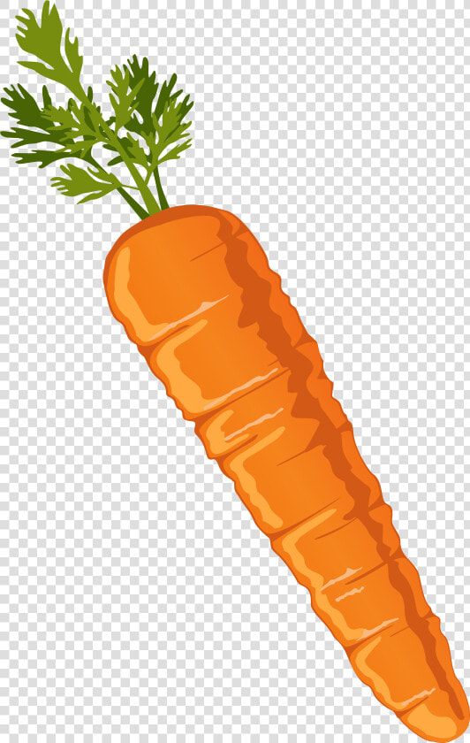 Carrot Clipart Image Gallery Yopriceville High Quality   Transparent Background Carrot Clipart  HD Png DownloadTransparent PNG