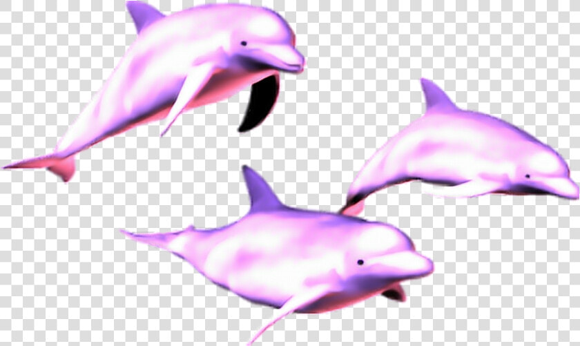 Mq Pink Dolphin Dolphins Animal   Vaporwave Dolphin Png  Transparent PngTransparent PNG