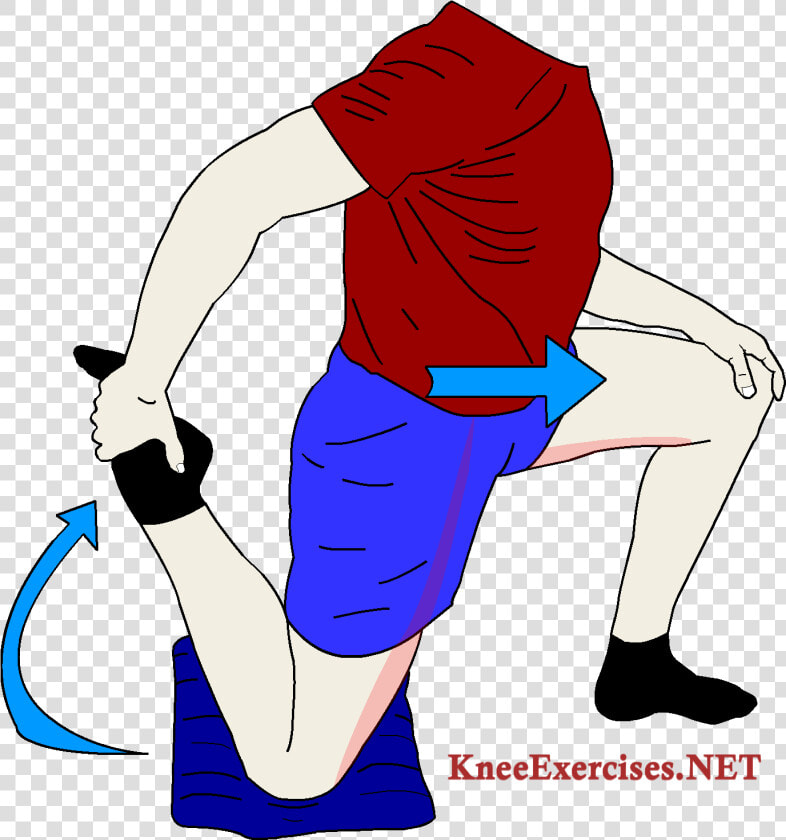 Knee Exercises Archives   Knee  HD Png DownloadTransparent PNG