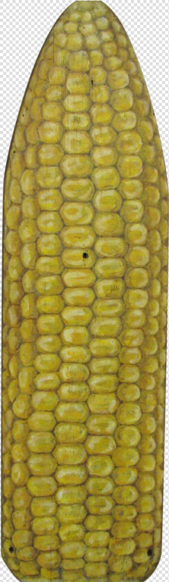 Corn Kernels  HD Png DownloadTransparent PNG