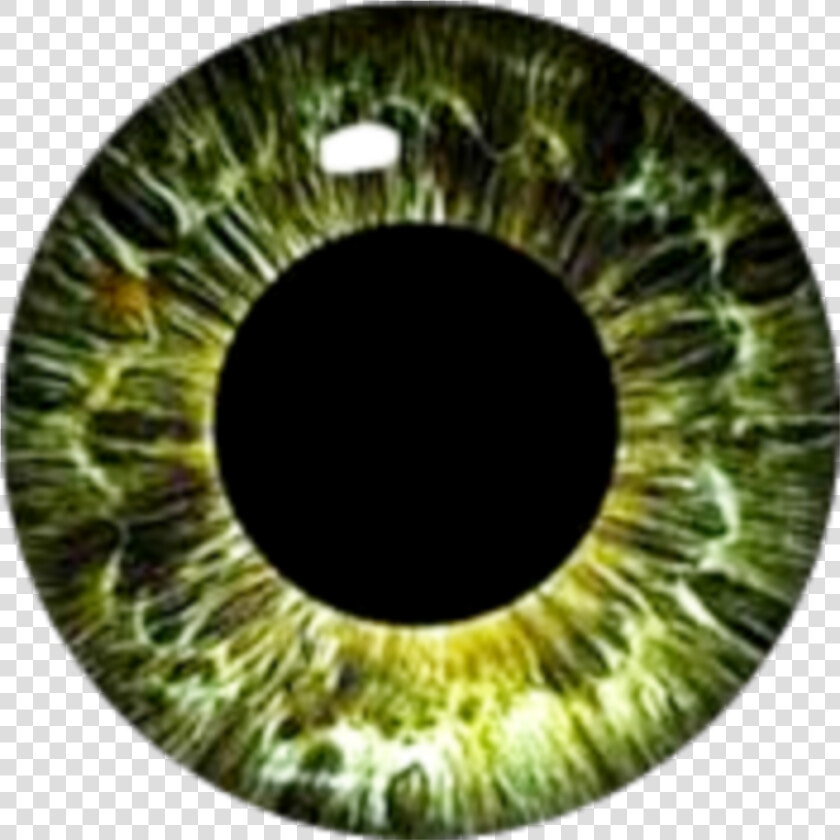  greeneyes  eyes  eyeball   Circle  HD Png DownloadTransparent PNG