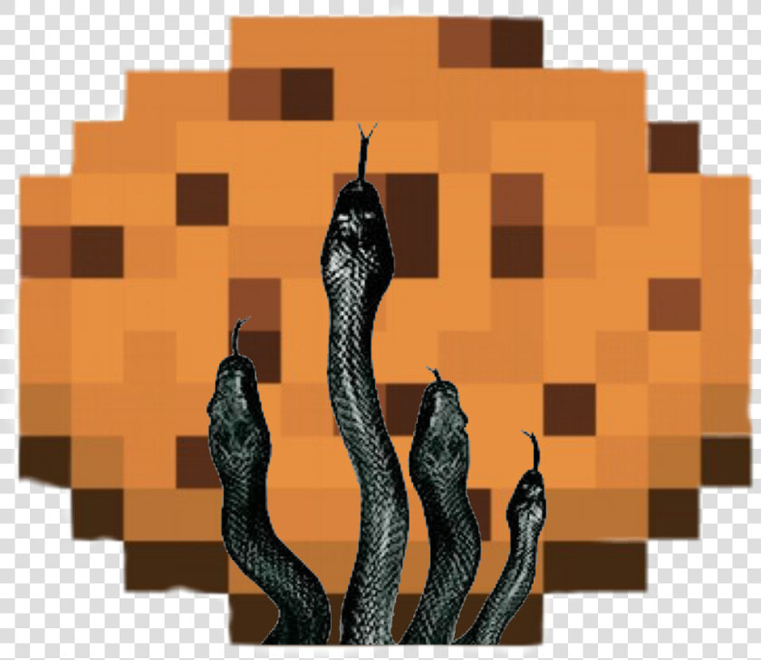 Snake Cookie   Minecraft Cookie Png  Transparent PngTransparent PNG