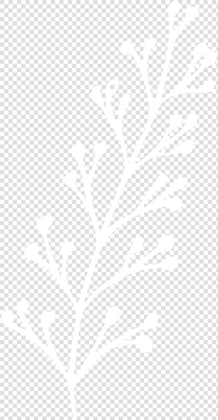 Planta 4 01   Hyatt White Logo Png  Transparent PngTransparent PNG