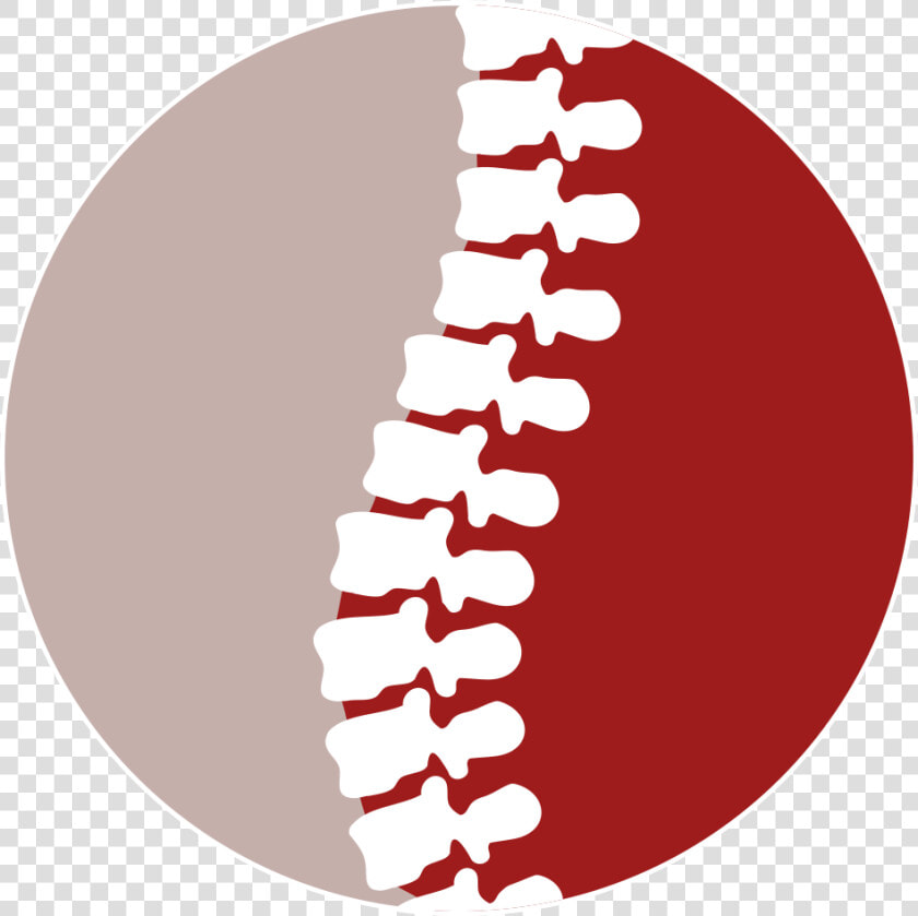 Transparent Maryland Outline Png   Spine Icon  Png DownloadTransparent PNG