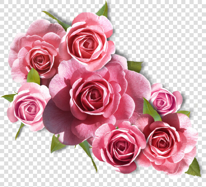 Rose Images  Flower Images  Rose Pictures  Flower Art    Ramos De Rosa Png  Transparent PngTransparent PNG