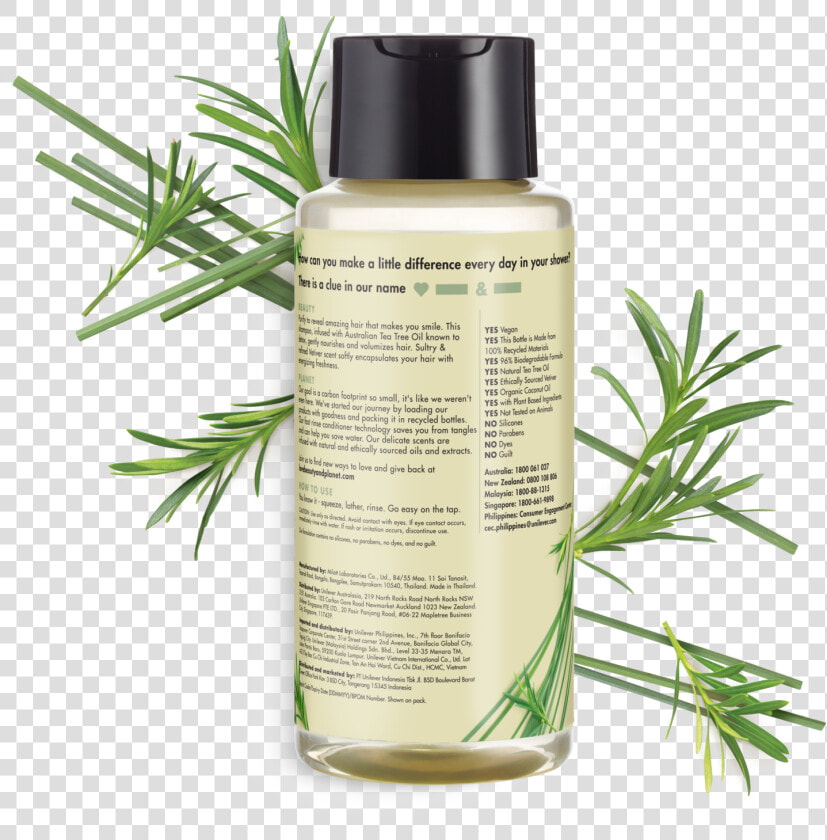 Love Beauty And Planet Tea Tree Body Wash  HD Png DownloadTransparent PNG