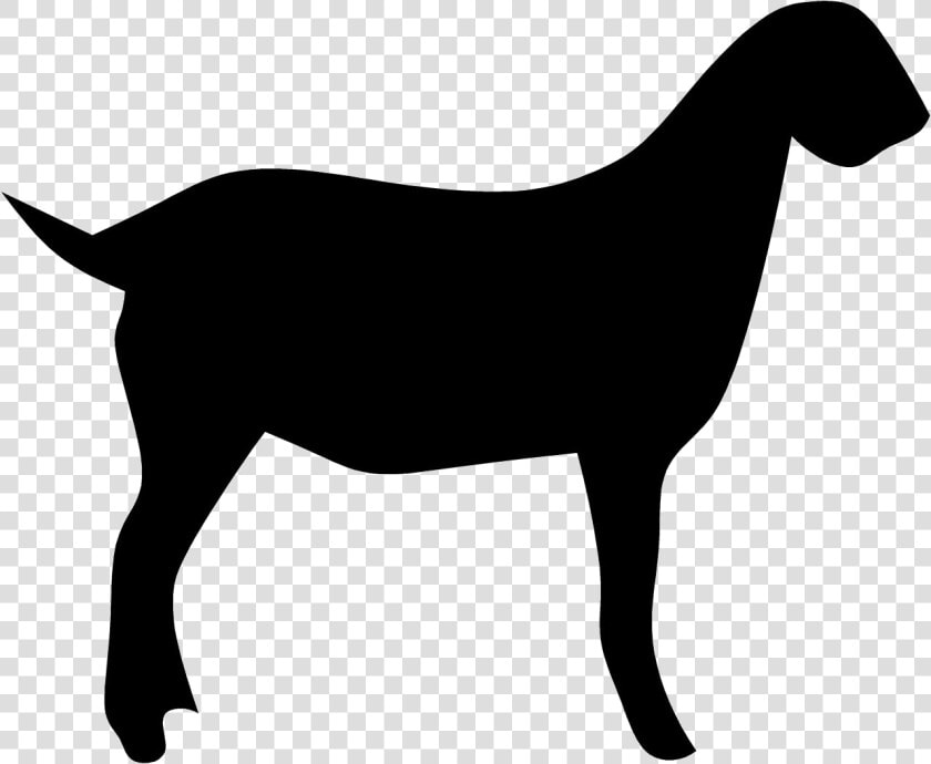 Goat Clipart Silhouette Free And Images Transparent   Boer Goat Goat Silhouette  HD Png DownloadTransparent PNG