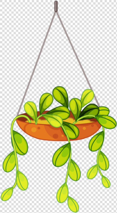 Transparent Hanging Plant Png   Hanging Plant Clipart  Png DownloadTransparent PNG