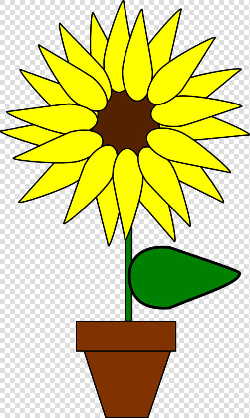 Sunflower Clipart Girasol   Sunflower In Pot Clipart  HD Png DownloadTransparent PNG