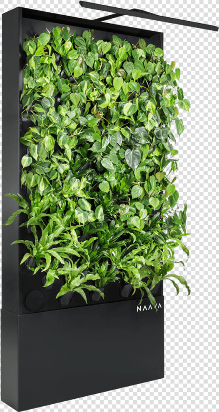 Naava One Slim Graphite Black Oblique Vertical Garden   Vertical Garden Plants Png  Transparent PngTransparent PNG