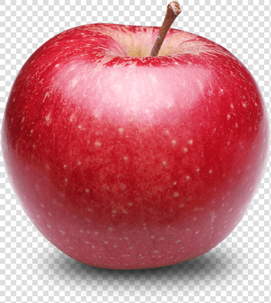 Manzana Singula   Transparent Apple Png  Png DownloadTransparent PNG