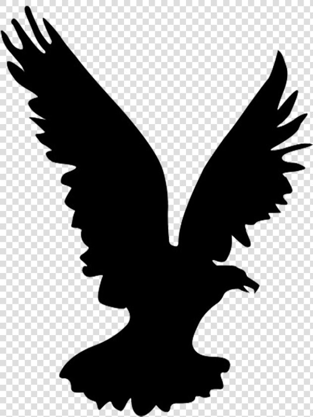 Black Eagle Clipart Flight Silhouette   Eagle Silhouette Png  Transparent PngTransparent PNG