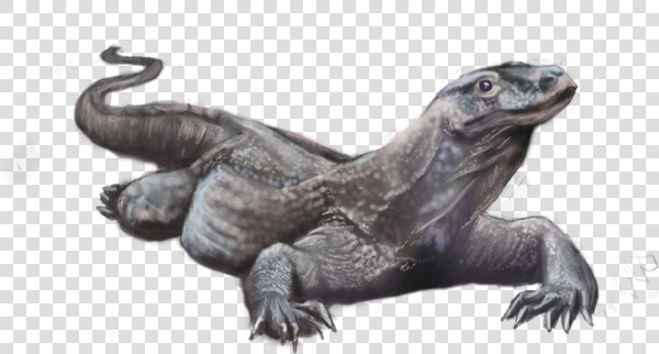  mr raptor komodo Dragon   Realistic Komodo Dragon Drawing  HD Png DownloadTransparent PNG