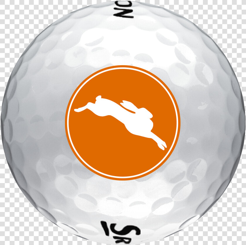 Dancing Rabbit Srixon Golf Ball  HD Png DownloadTransparent PNG