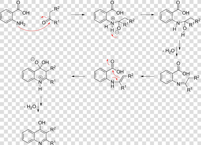 Niementowski Quinoline Mechanism   Friedlander Synthesis Of Quinoline  HD Png DownloadTransparent PNG