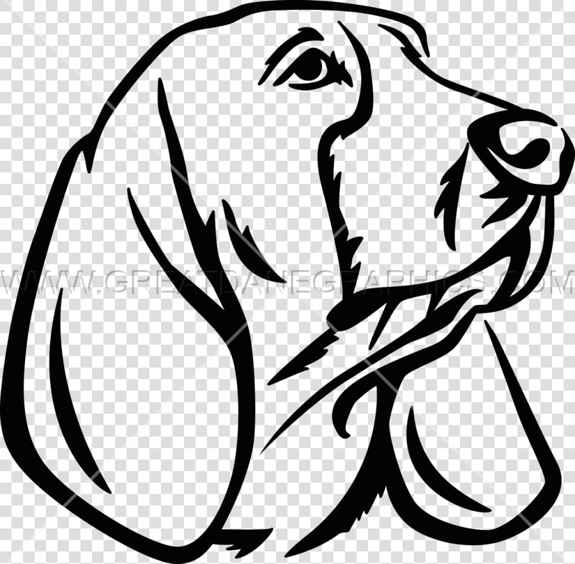 Basset Hound Clipart Head   Basset Hound Drawing Easy  HD Png DownloadTransparent PNG