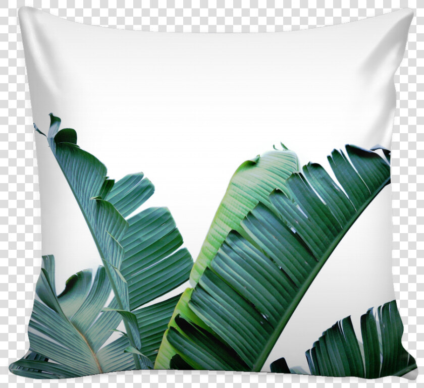 Banana Leaf Png   Banana Leaf Canvas Art  Transparent PngTransparent PNG