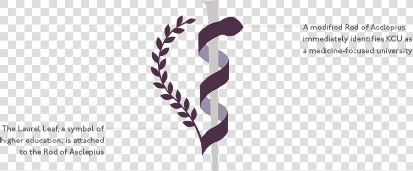 Kcu Rod Of Asclepius  HD Png DownloadTransparent PNG