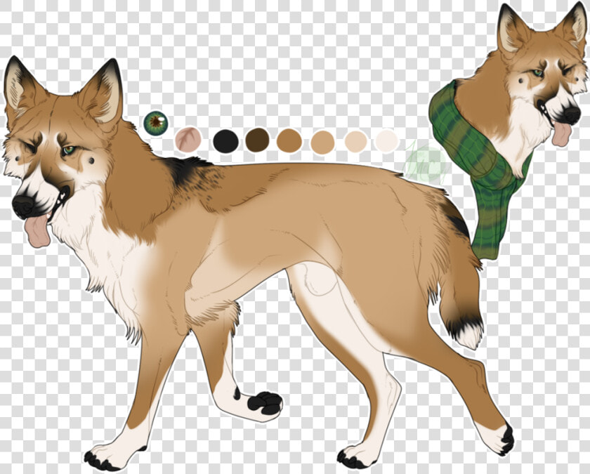 Shiba Sakhalin Inu Breed Dog Canaan Shikoku Clipart   Norwegian Lundehund  HD Png DownloadTransparent PNG