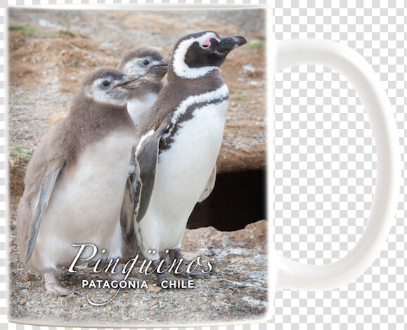 Tazon Ceramico Pat Pinguino Magallanico Y Crias   Penguin  HD Png DownloadTransparent PNG