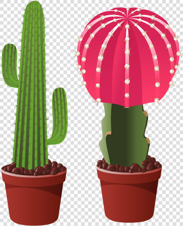 0 Home Clipart  Garden Clipart  Clipart Images  Cactus   Cactus Flowets Png  Transparent PngTransparent PNG