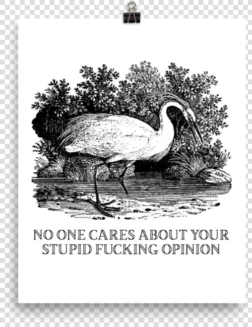 Stupid Opinion Srcset Data   Film  HD Png DownloadTransparent PNG