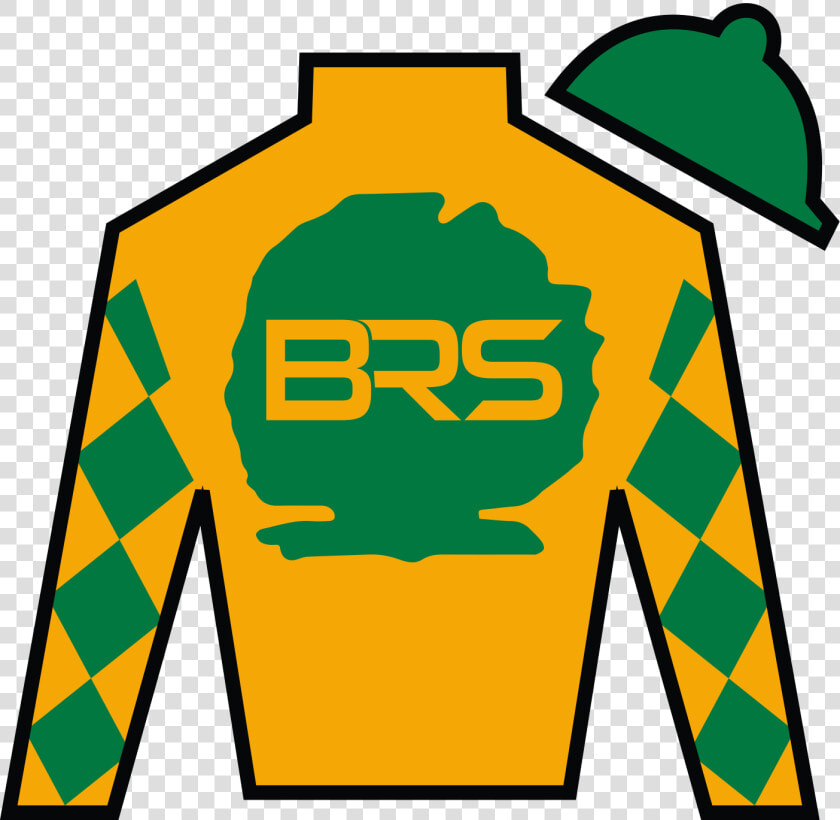 Owner Link   Black Horse Racing Silks  HD Png DownloadTransparent PNG