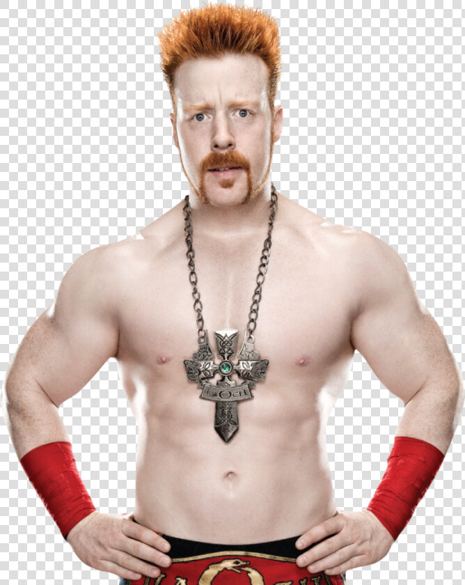 Sheamus Png Image Background   Wwe Sheamus Png 2012  Transparent PngTransparent PNG