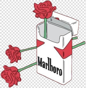 Cigar Cigarette Marlboro Roses Rose   Marlboro Roses  HD Png DownloadTransparent PNG