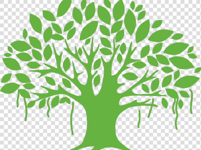 Transparent Tree Clipart   Vector Banyan Tree Png  Png DownloadTransparent PNG