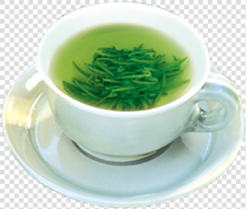 Green Tea Teacup Gratis   Cup  HD Png DownloadTransparent PNG