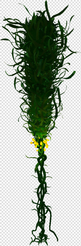 Subnautica Wiki   Subnautica Creepvine  HD Png DownloadTransparent PNG