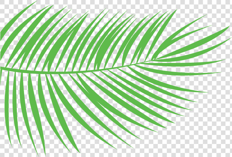 Transparent Reeds Png  Png DownloadTransparent PNG