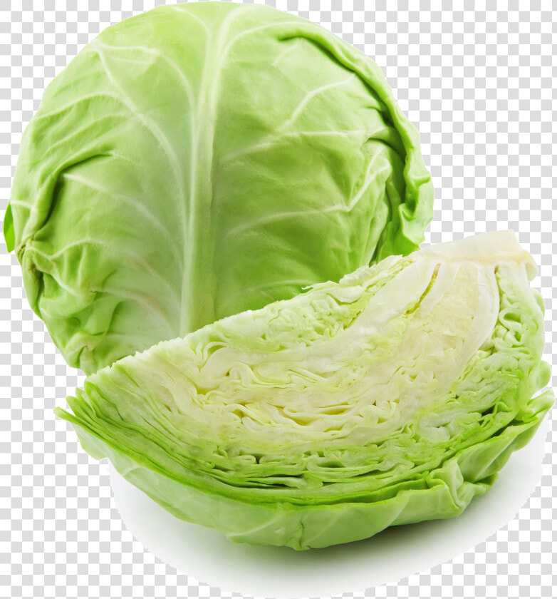 Cabbage Png High quality Image   Cabbage  png  Transparent PngTransparent PNG