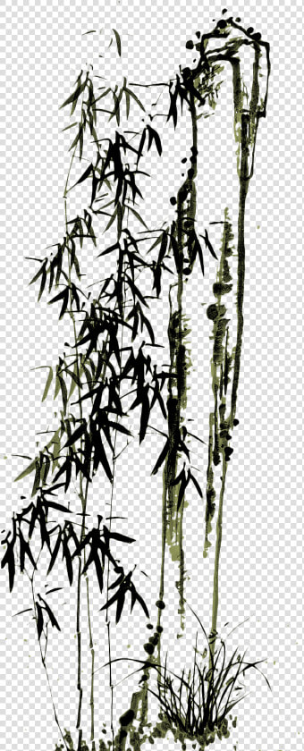 Drawn Bamboo Kawayan   Chinese Painting Bamboo Png  Transparent PngTransparent PNG