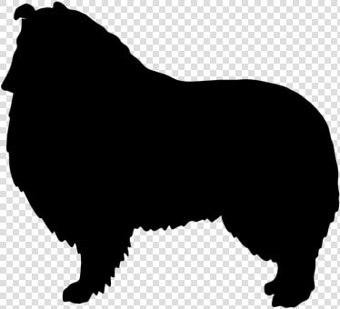 Rough Collie Silhouette Png  Transparent PngTransparent PNG