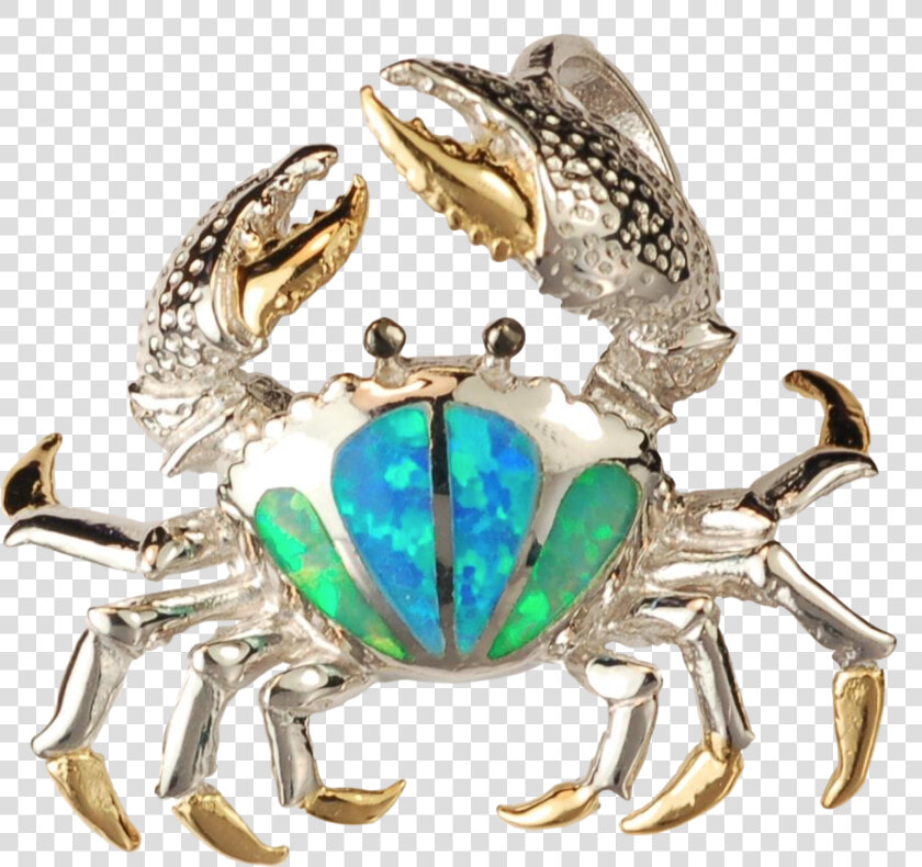 Chesapeake Blue Crab  HD Png DownloadTransparent PNG