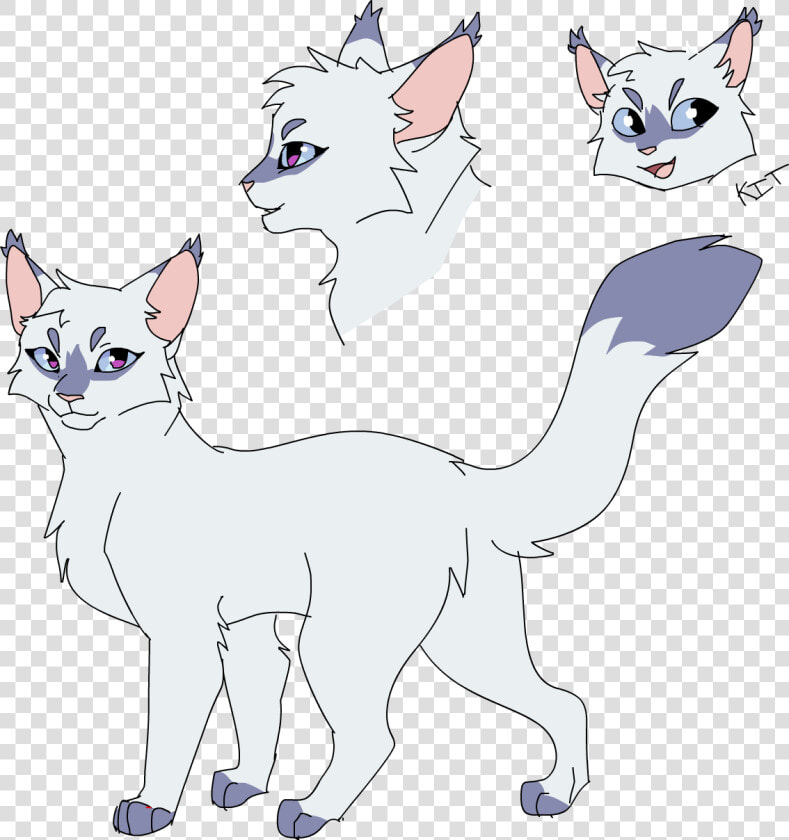 My Snowfur Design Warrior Cat Drawings  Warrior Cats  HD Png DownloadTransparent PNG