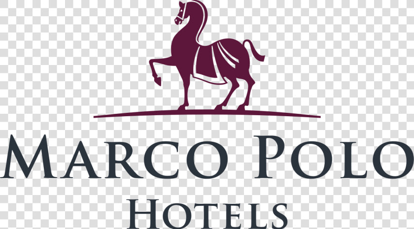 Marco Polo Hotel Davao Logo  HD Png DownloadTransparent PNG