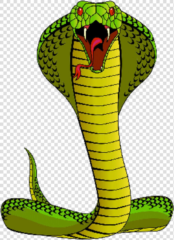 Transparent Mongoose Clipart   Cobra Snake Cartoon Funny  HD Png DownloadTransparent PNG