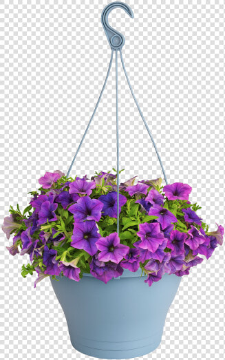 Flowerpot  HD Png DownloadTransparent PNG