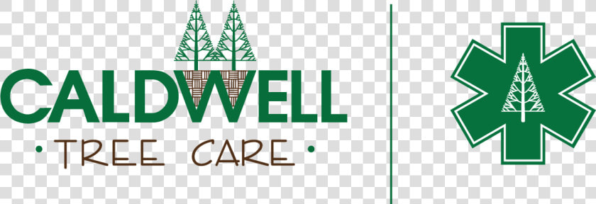 Caldwell Tree Care   Graphic Design  HD Png DownloadTransparent PNG