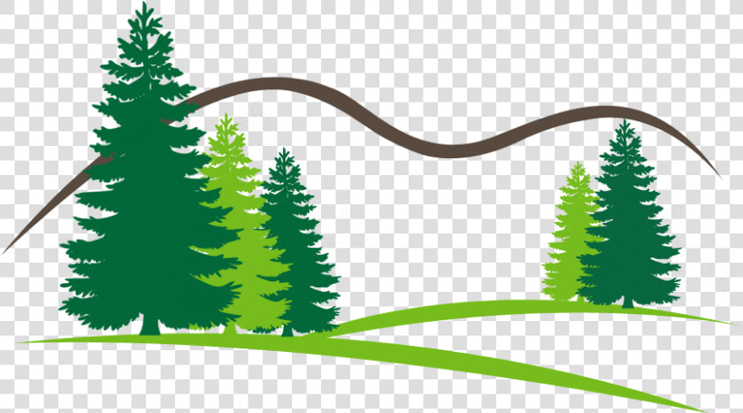 Open Canopy Tree   Vector Pine Tree Png  Transparent PngTransparent PNG