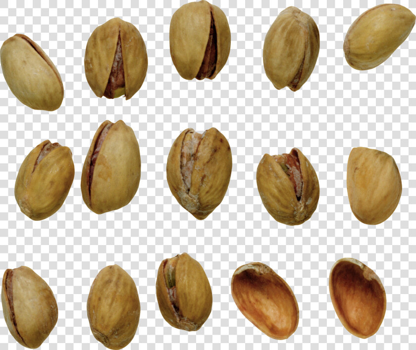 Pistachios Png  Download Png Image With Transparent   Pistachio  Png DownloadTransparent PNG