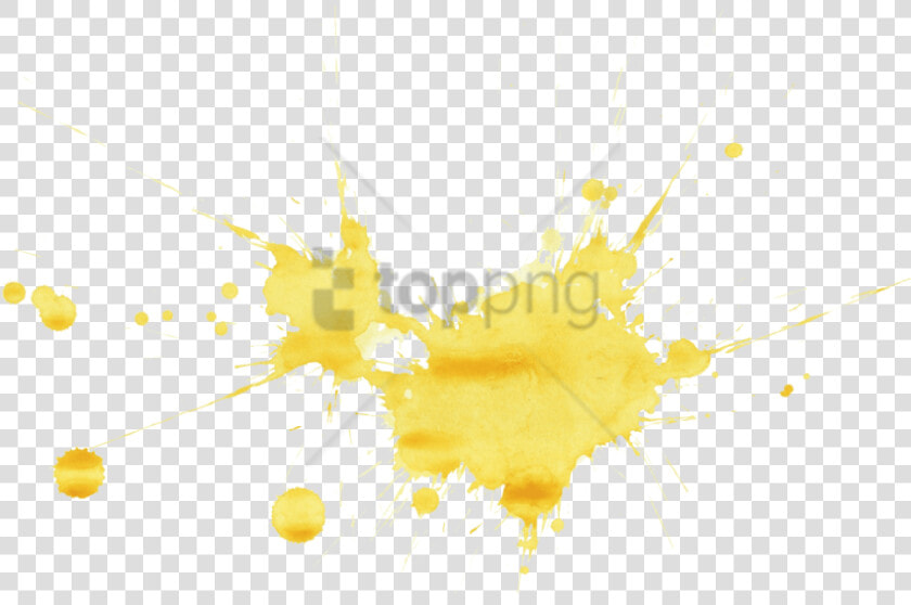 Free Png Yellow Paint Splash Png Png Image With Transparent   Orb weaver Spider  Png DownloadTransparent PNG