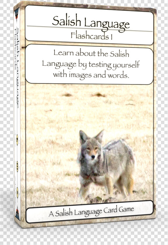 Salish Flashcards 1 3d Edu Boxshot Left   Coyote  HD Png DownloadTransparent PNG