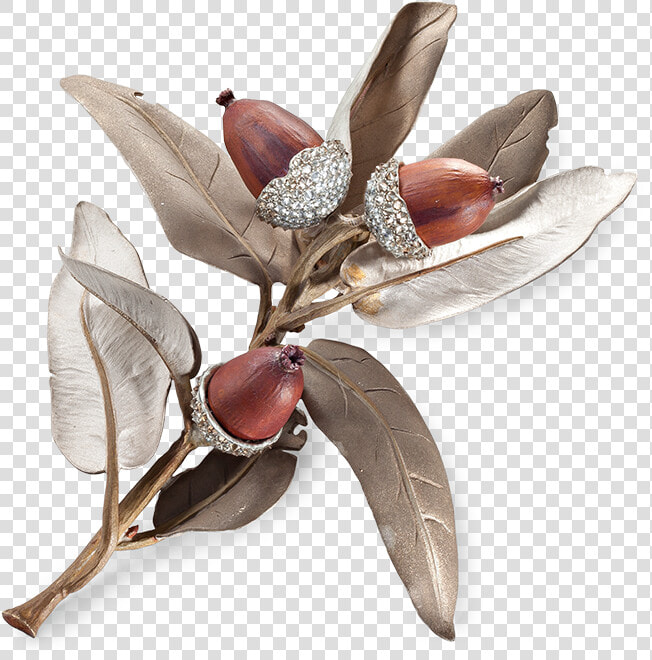 Brooch Designed As A Evergreen Oak Branch   Insect  HD Png DownloadTransparent PNG